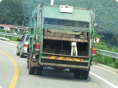너희집 이미지