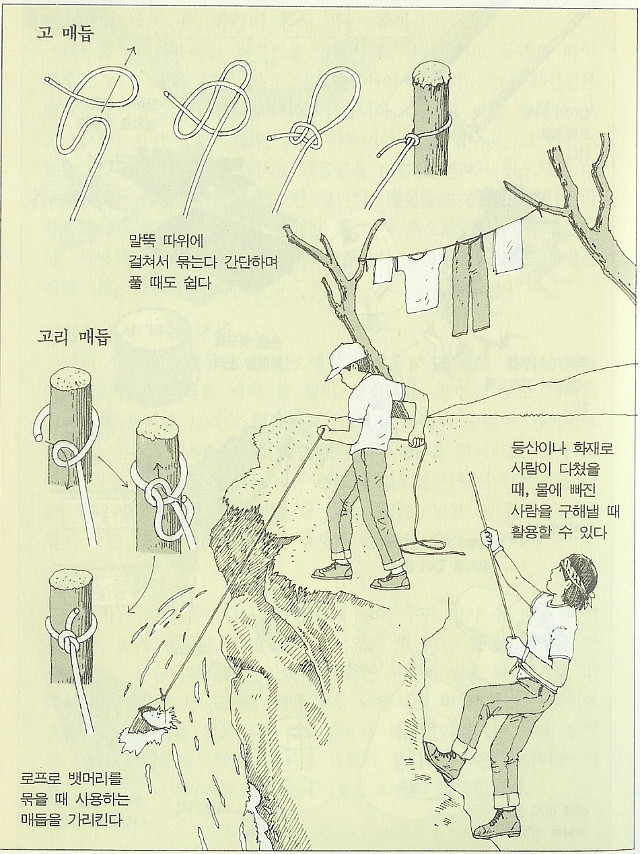 매듭 이미지