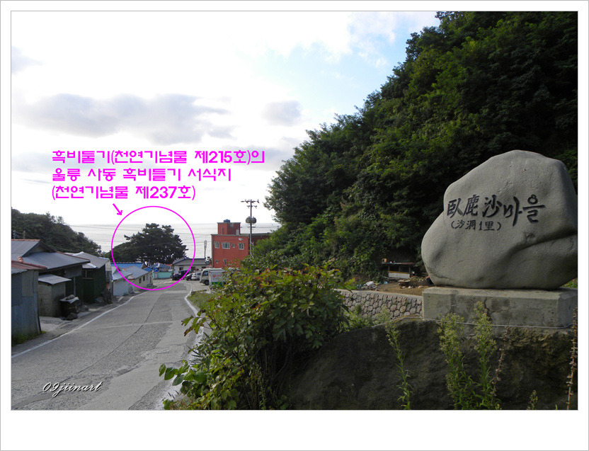 비둘기여행사 이미지