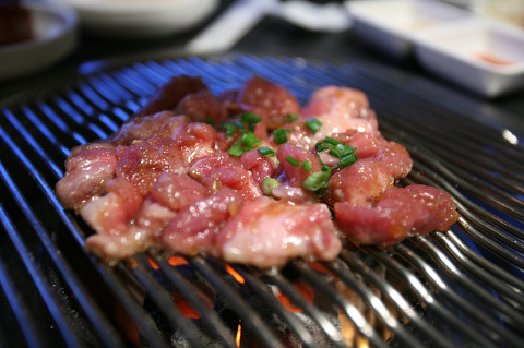 돼지짱 이미지
