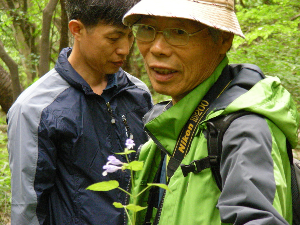 지리산약초 이미지