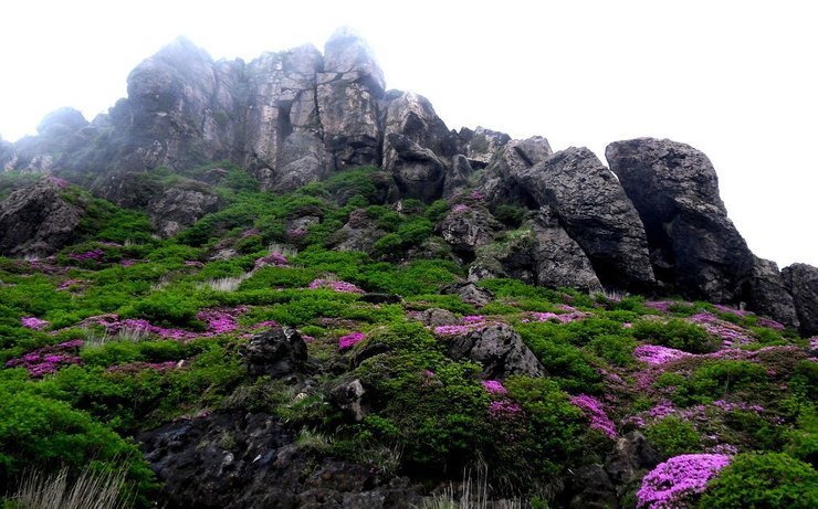 (주)귀빈관광여행사 이미지