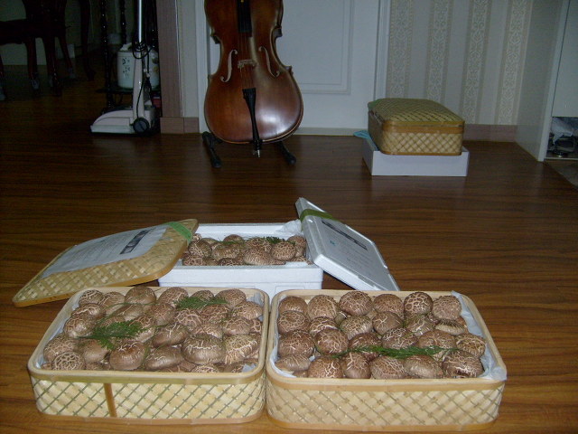 정직한버섯 이미지