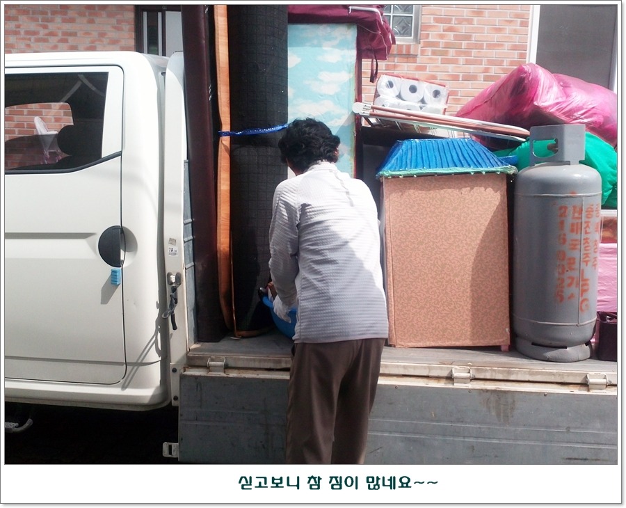 레지나 이미지
