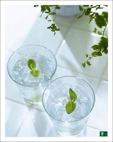 옹달샘cafe 이미지