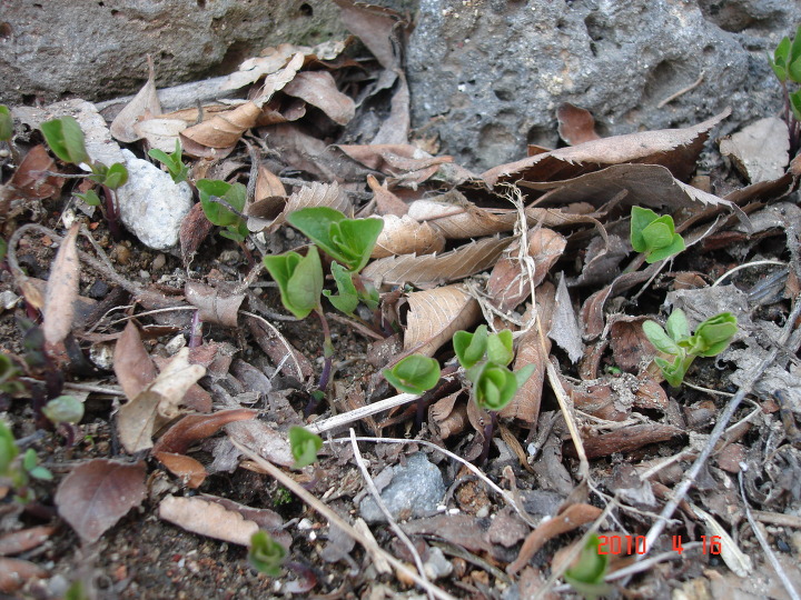덕산방 이미지