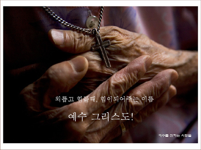 소중한오늘 이미지