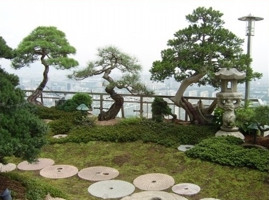 조경 이미지