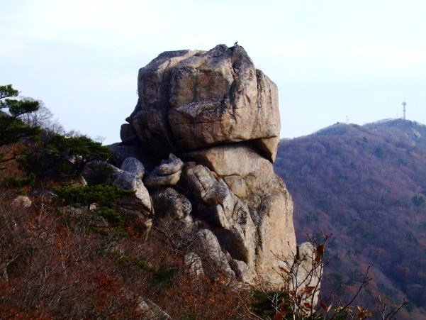 산중농원 이미지