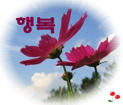 은빛여우 이미지