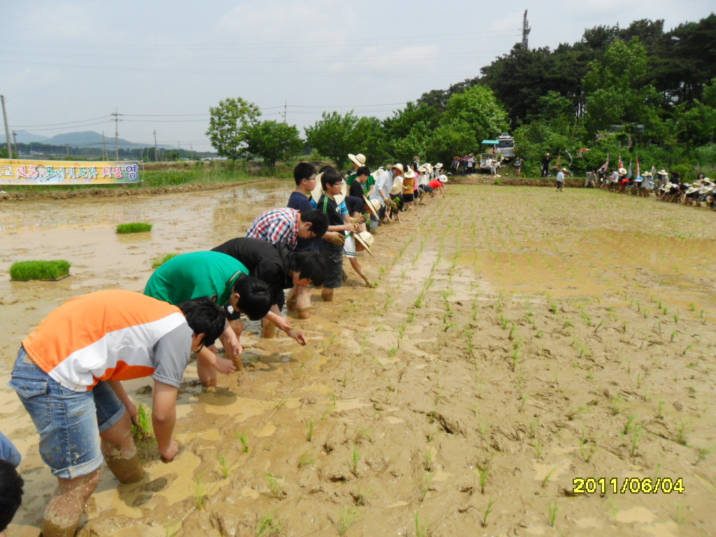 봉서중학교 이미지