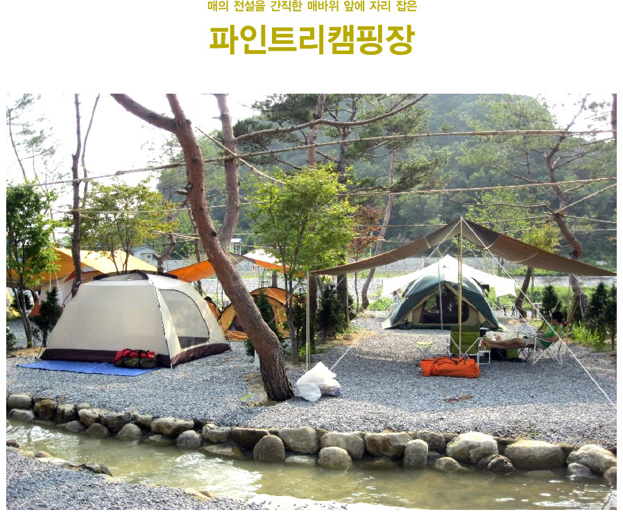 파인트리캠핑장 이미지