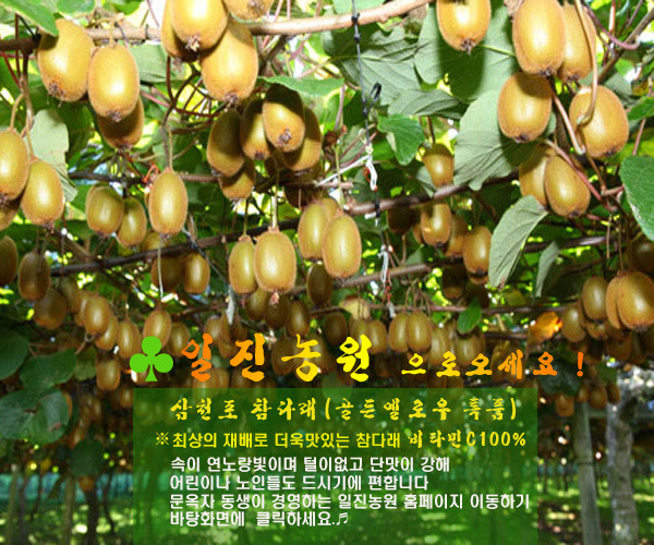 일진농원 이미지