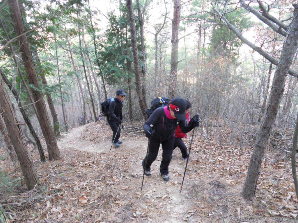 참사랑상사 이미지