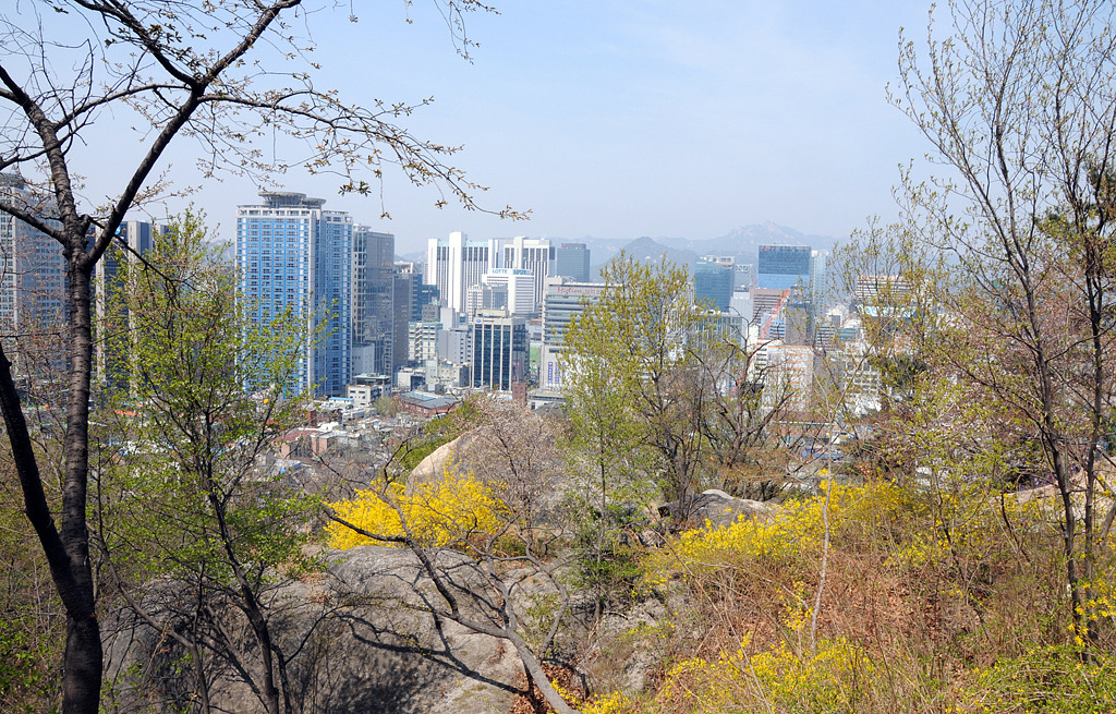 그꽃길 이미지