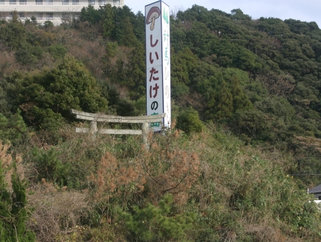 두섬 이미지