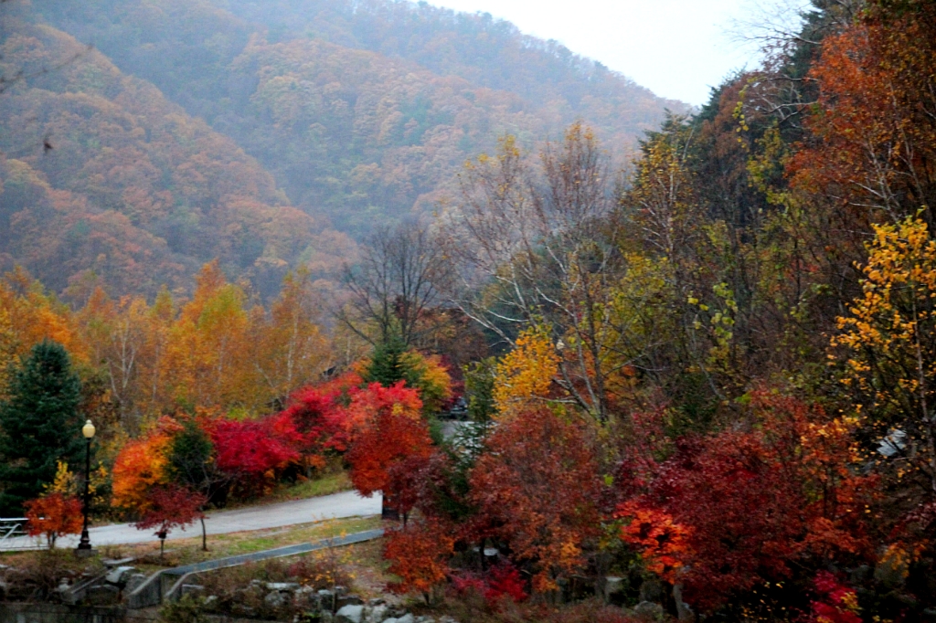 국립복주산자연휴양림 이미지