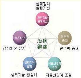 발산종합전자 이미지