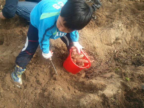 광주지산초등학교 이미지