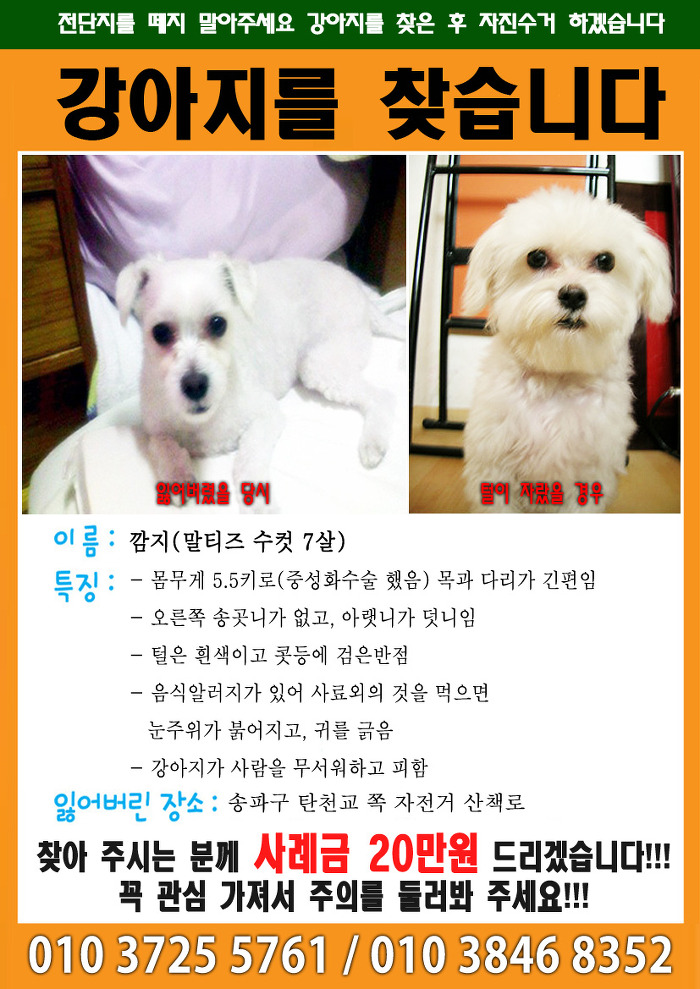 수컷 이미지