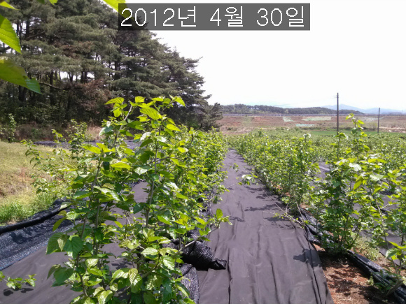막둥이네 이미지