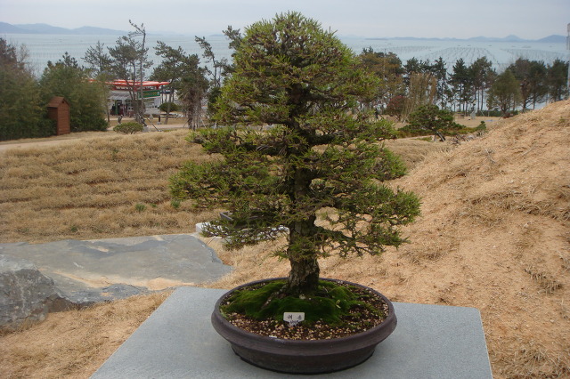 천사농원 이미지
