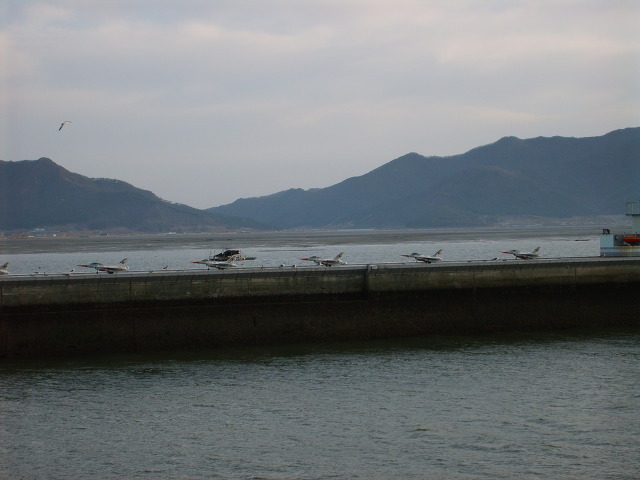 반도모텔 이미지