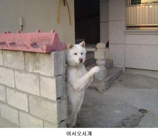 없음 이미지
