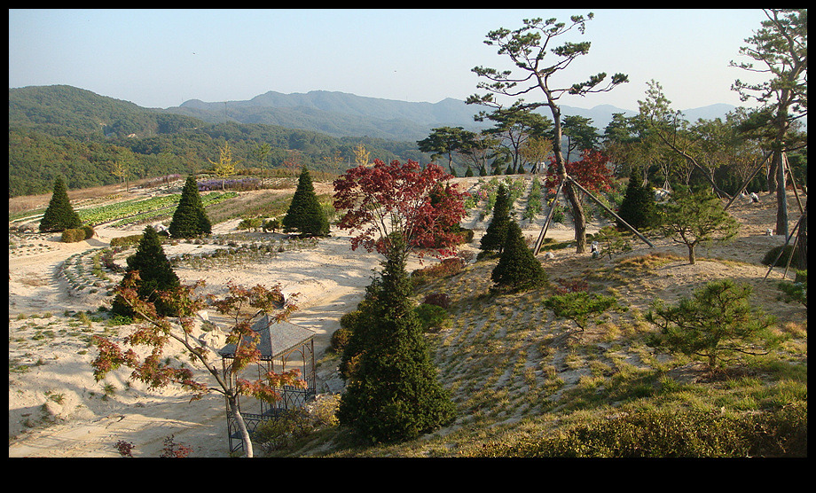 야생화농원 이미지