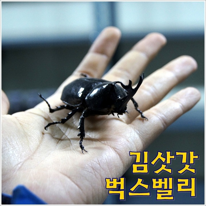 모여라 친구야 이미지