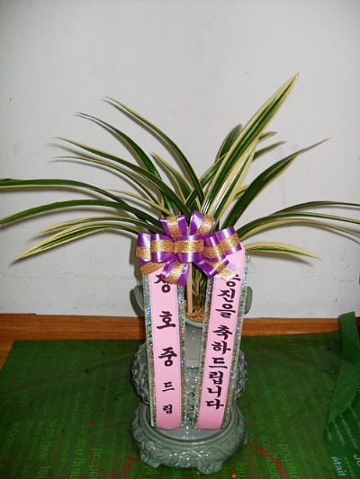 일월관 이미지