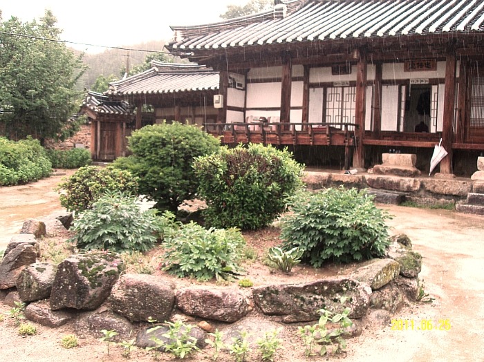 정온 이미지