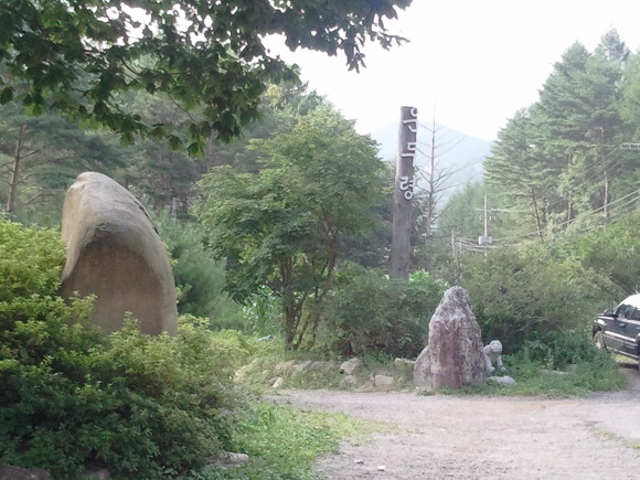 평창송어횟집 이미지