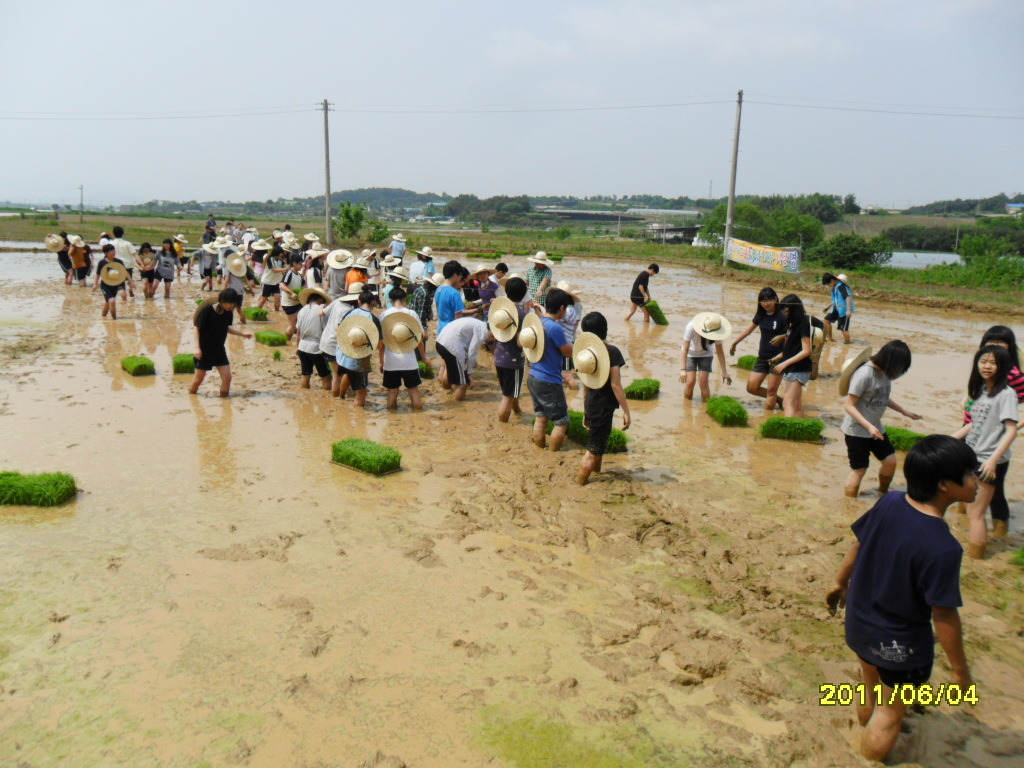 봉서중학교 이미지
