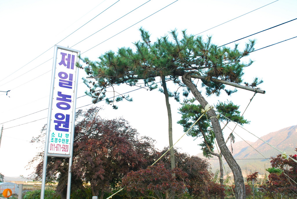 제일농원 이미지