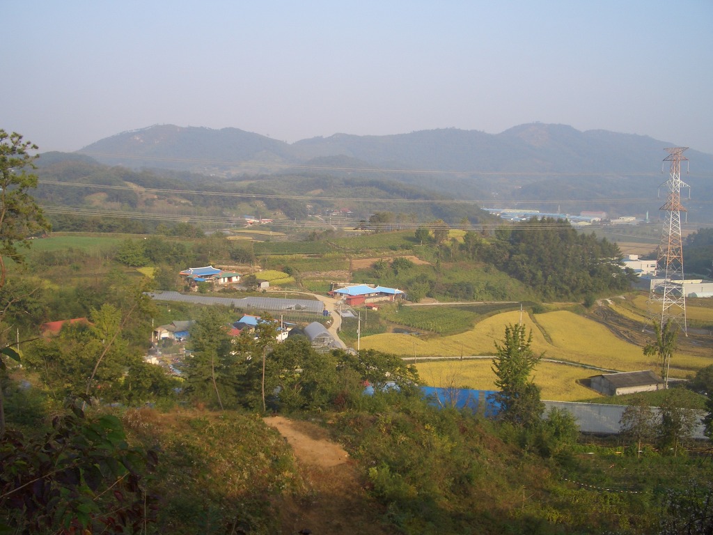 충남댁 이미지