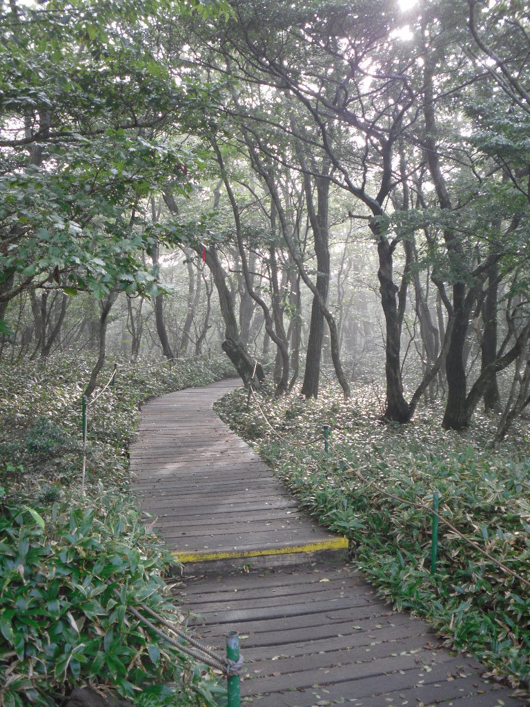 한라산마루 이미지