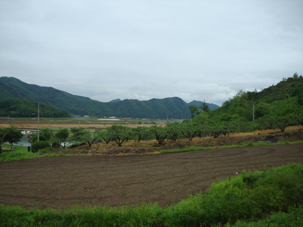 충주IC 이미지