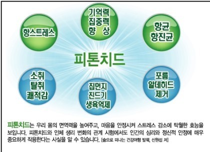 푸른숲청소 이미지