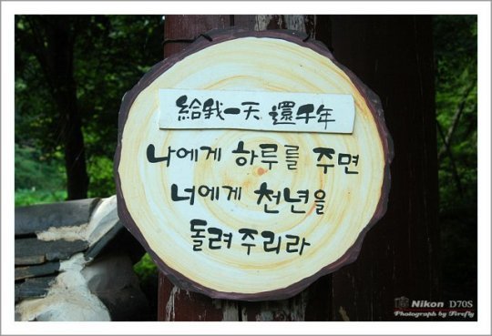 달콩 이미지