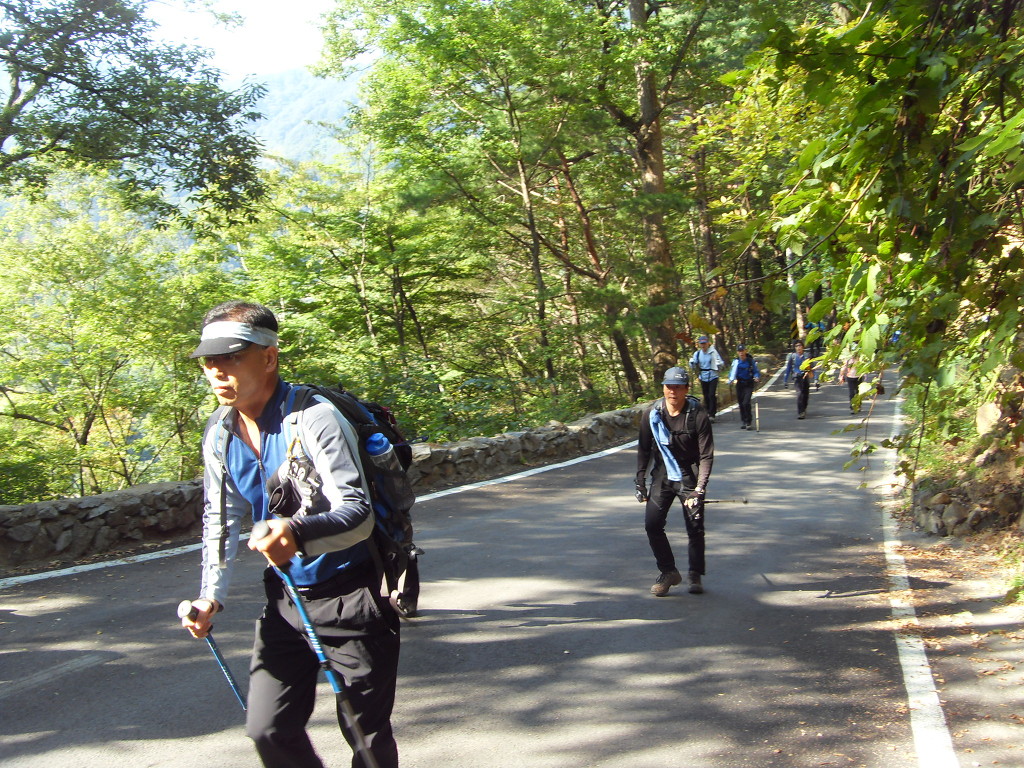 삼정사 이미지