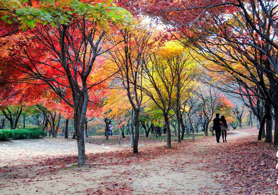 가을 이미지
