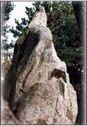 정바우 이미지