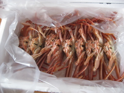 세명수산 이미지