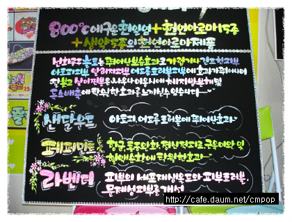 공주아로마 이미지
