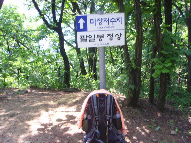 육지장사 이미지