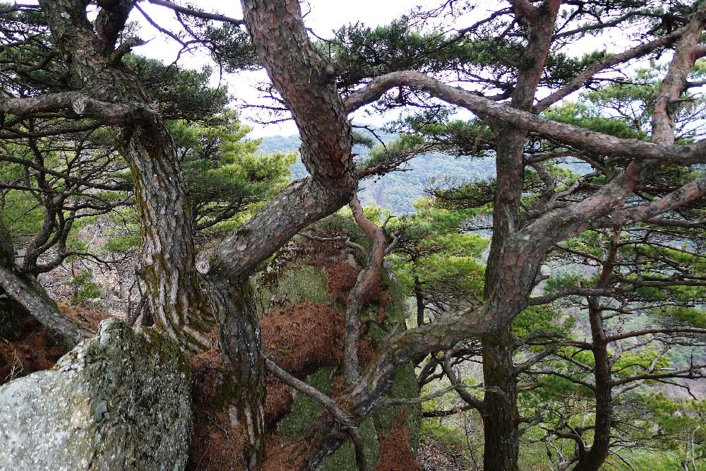 대산면(순창) 이미지