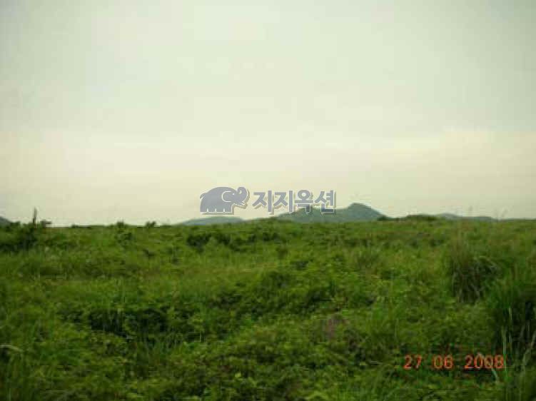 주식회사 온천지 이미지