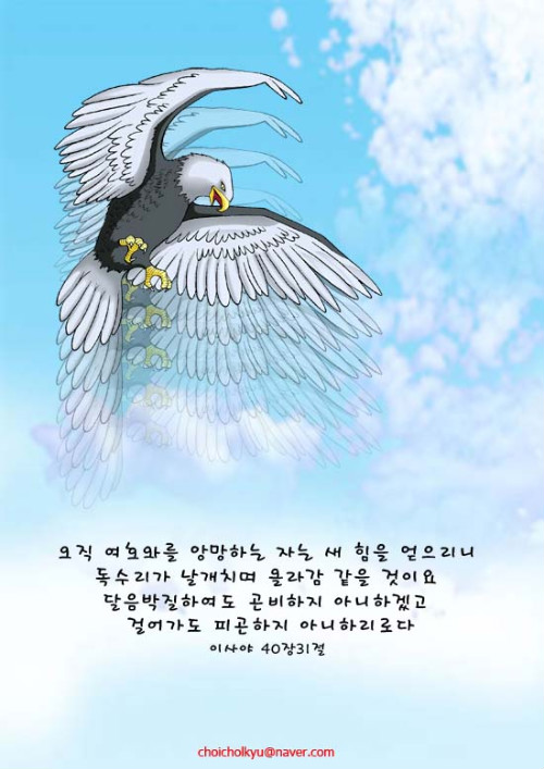 날개 이미지