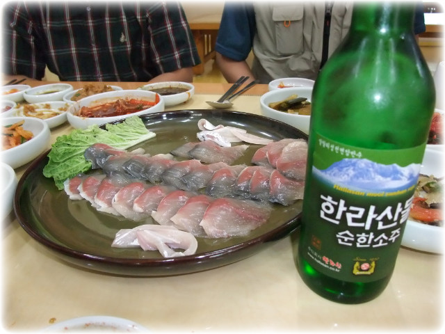 회조아 이미지